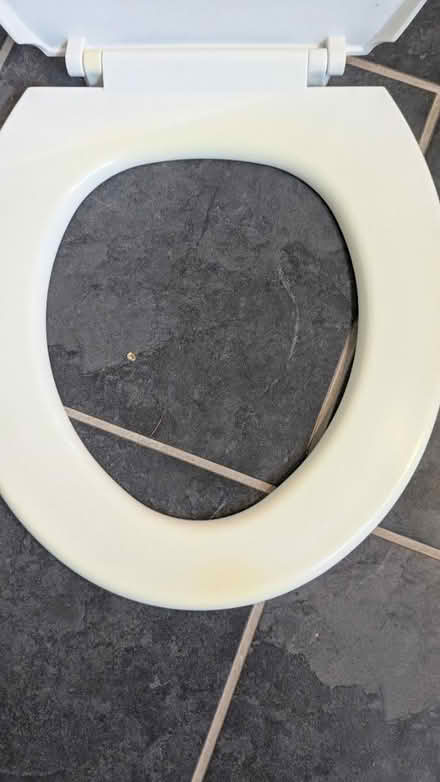 Photo of free Toilet Seat (RG24 Old Basing) #2
