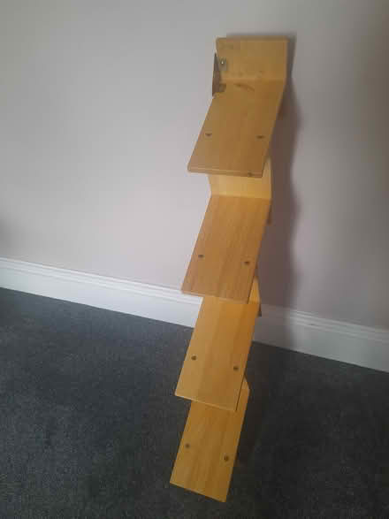Photo of free CD rack (Chesterfield, S41) #2