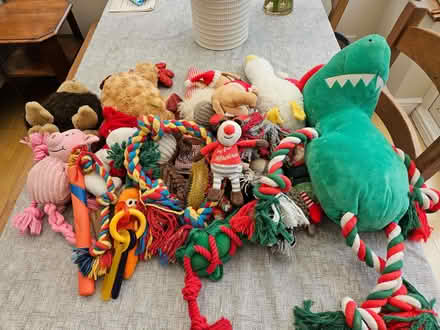 Photo of free Large selection of dog toys (Chesham HP5) #1
