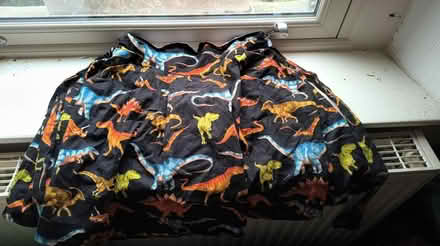 Photo of free Dinosaur skirt with pockets (Freehold, Lancaster LA1) #1
