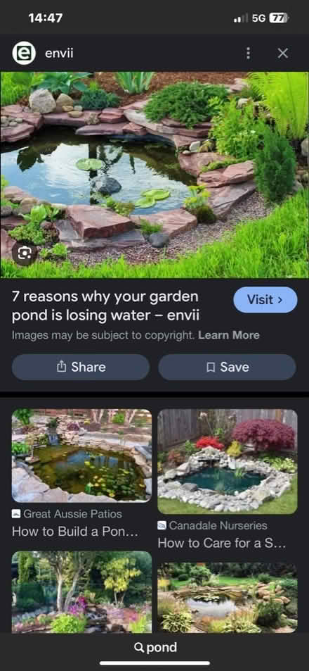 Photo of Preformed pond or baby bath etc (Chalk Farm NW1) #1