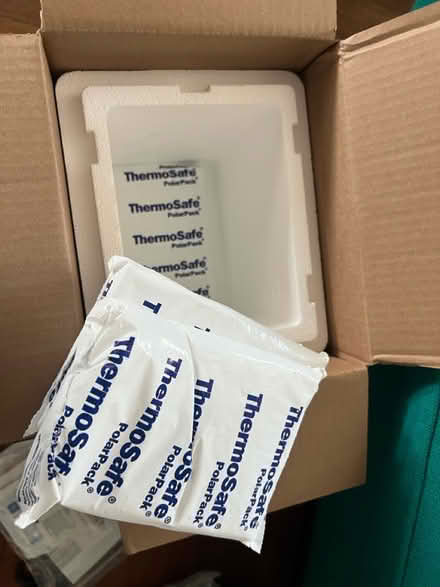 Photo of free 2 Styrofoam cooler/reusable icepack (Hawthorne) #2