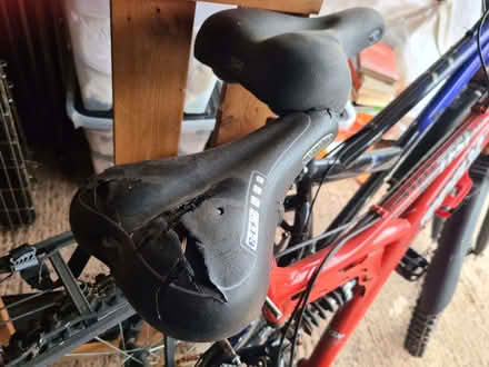 Photo of free Two mountain bikes (Combe St Nicholas TA20) #2