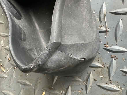 Photo of free Size 10 large fins (Hampton TW12) #3
