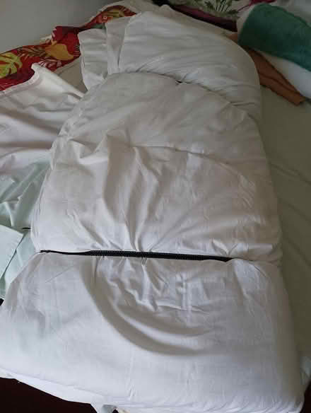 Photo of free Used king size micro fibre duvet (RG2 south Reading) #3