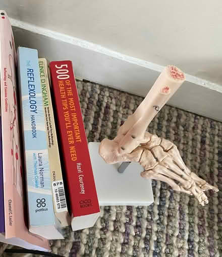Photo of free Reflexology foot model and books (St Albans AL3) #1
