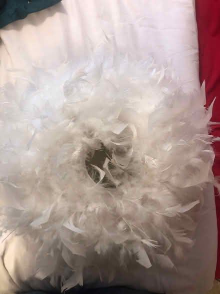 Photo of free Feather lampshade (Shephall SG2) #3