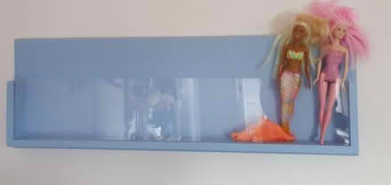 Photo of free Barbie shelf (South Chailey Lewes) #1