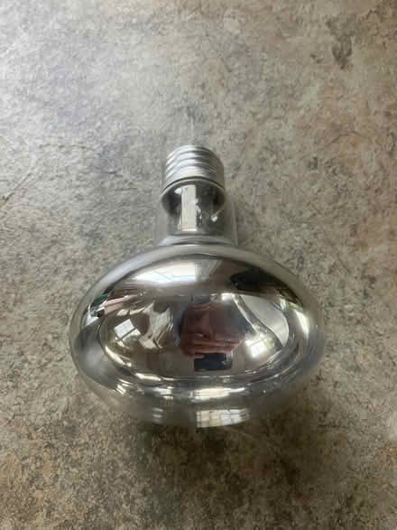 Photo of free Reflector bulbs (various, available separately) (Henleaze BS9) #1