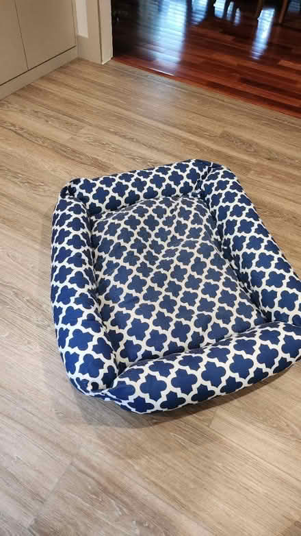Photo of free Large dog bed (Somerset) #1