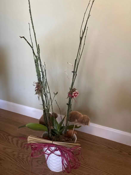 Photo of free Orchid (Highland Ave, RWC) #2