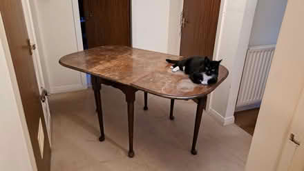 Photo of free Drop Leaf Dining Table (Musselburgh EH21) #1