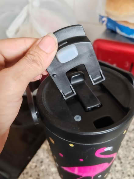 Photo of free Water flask (RG2) #2