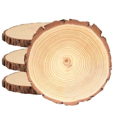Photo of free Log/Wood Slices x 10 (Brize Norton OX18) #1