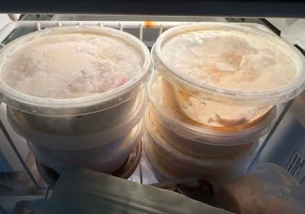 Photo of free Frozen gourmet cream cheese (Kew Gardens Queens) #1