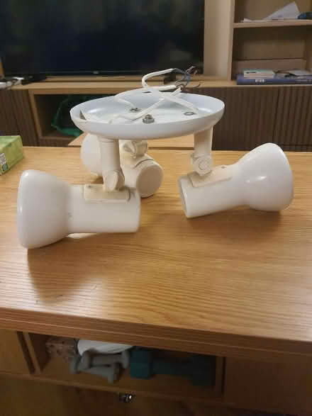 Photo of free Ceiling lamp (Rotherhithe SE16) #1