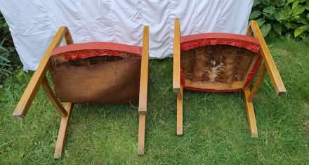 Photo of free Vintage dining / board room chairs (Saltaire BD18) #3