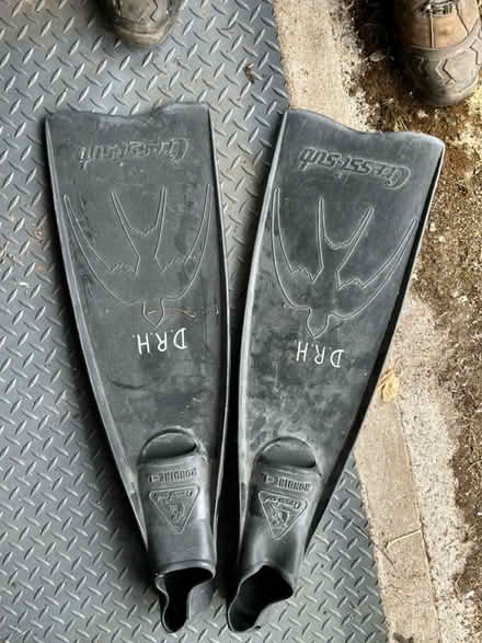 Photo of free Size 10 large fins (Hampton TW12) #1