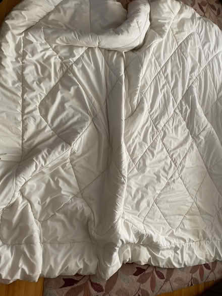 Photo of free King size comforter (Britannia) #3