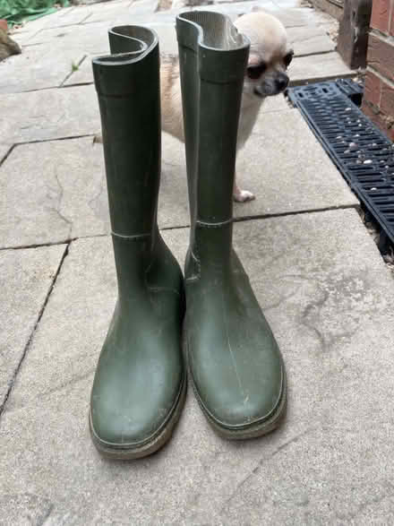 Photo of free Ladies/Childrens Wellingtons (Stamford) #1