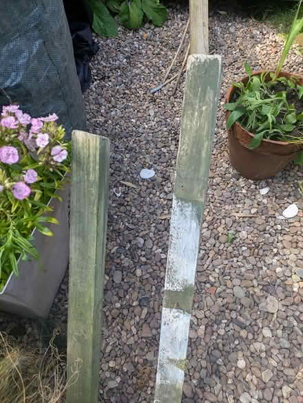 Photo of free Fence/trellis post spikes (Meanwood, LS7) #3