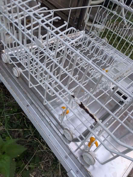 Photo of free Dishwasher (GU12) #2