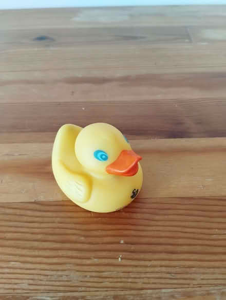 Photo of free Rubber duck (Lewisham SE3) #1