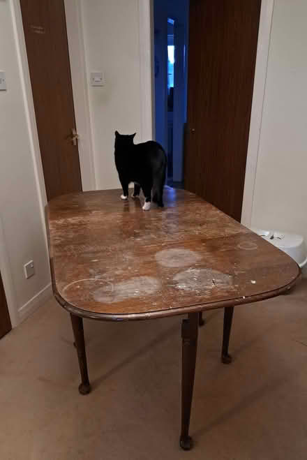 Photo of free Drop Leaf Dining Table (Musselburgh EH21) #4