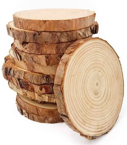 Photo of free Log/Wood Slices x 10 (Brize Norton OX18) #2