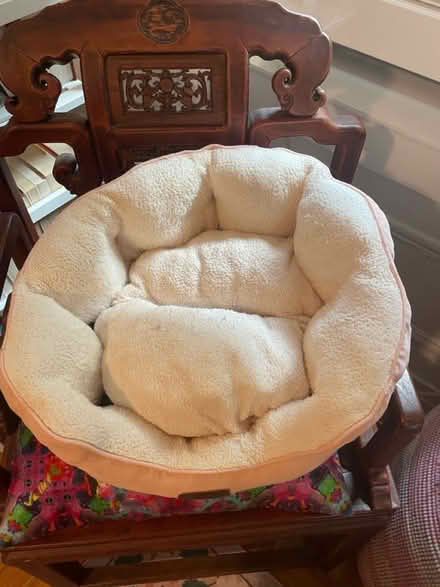 Photo of free dog items (Upper West Side) #1