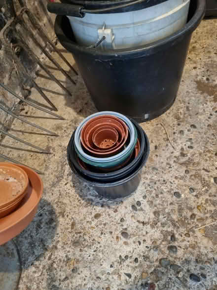 Photo of free Buckets & garden pots (Petts wood BR2) #4
