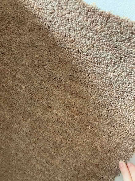Photo of free Beige carpet rolls (Courthouse Road, N12) #1