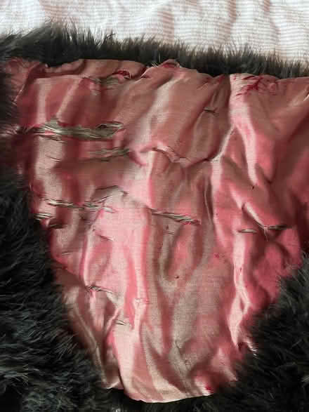 Photo of free Very old antique feather stole (Kings Heath B13) #2