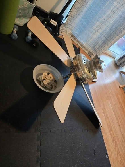 Photo of free Ceiling fan 42in (Takoma DC) #1