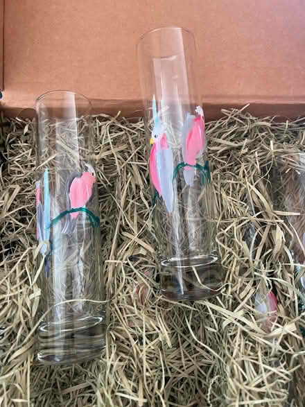 Photo of free 6x Shandy glasses (Lake City/Meadowbrook) #1