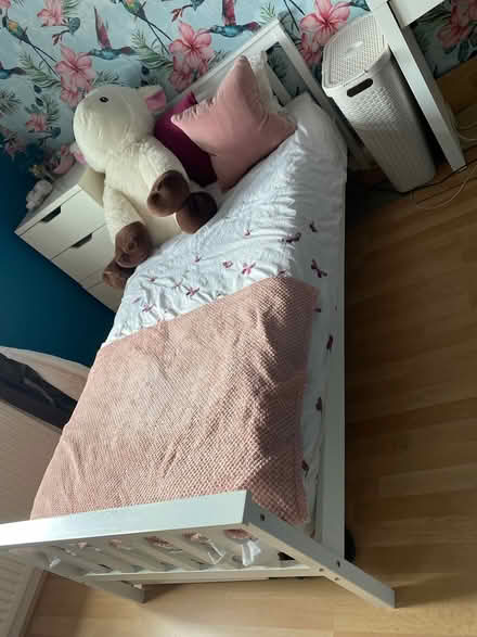 Photo of free Single bed (Oxford OX1) #1