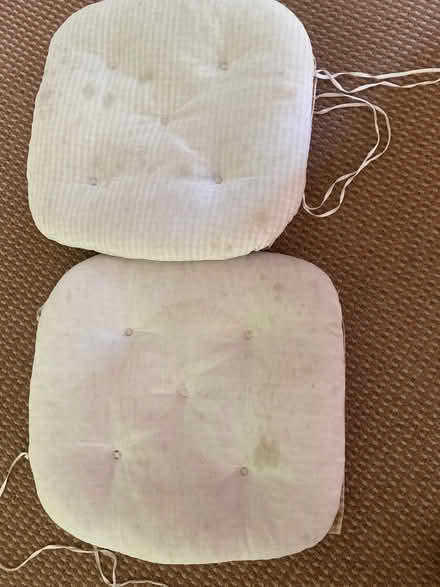 Photo of free Two well used chair cushions. Suitable for pet bedding. (Pannal HG2) #1