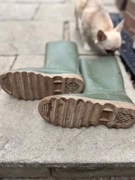 Photo of free Ladies/Childrens Wellingtons (Stamford) #3