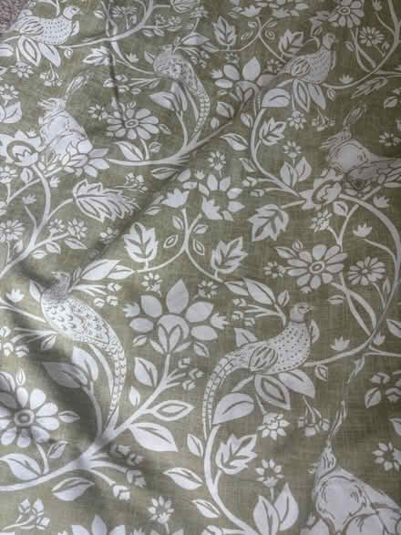 Photo of free Pair of green lined curtains (Borrowash DE72) #2