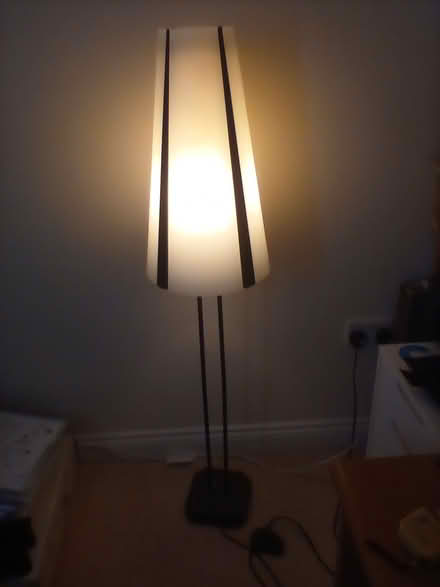 Photo of free Floor lamp (Castle Eaton, SN6) #1