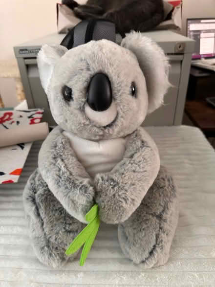 Photo of free Stuffed koala (RG30, Reading West) #1