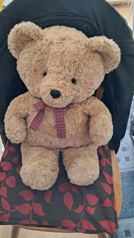 Photo of free Large Teddy (Ditton ME20) #1