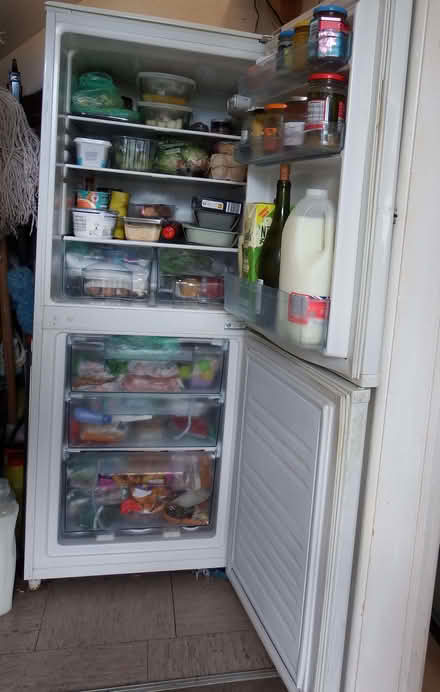 Photo of free Proline 50/50 Fridge Freezer (Vale LA1) #3