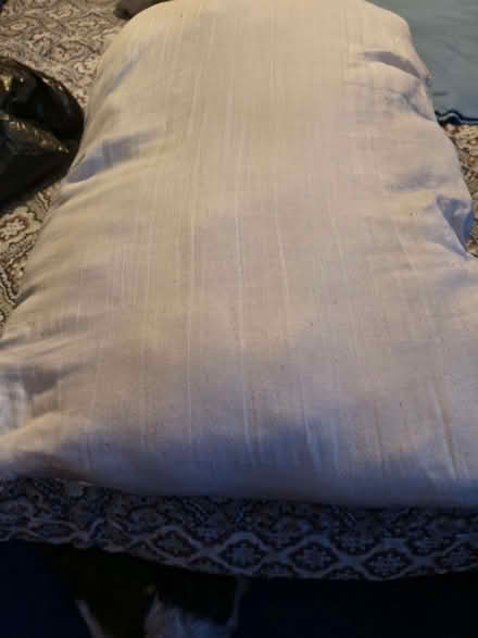 Photo of free Bed pillows (Herdings S14) #1