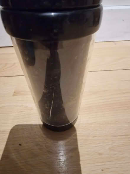 Photo of free Coffee cups (NW10) #2