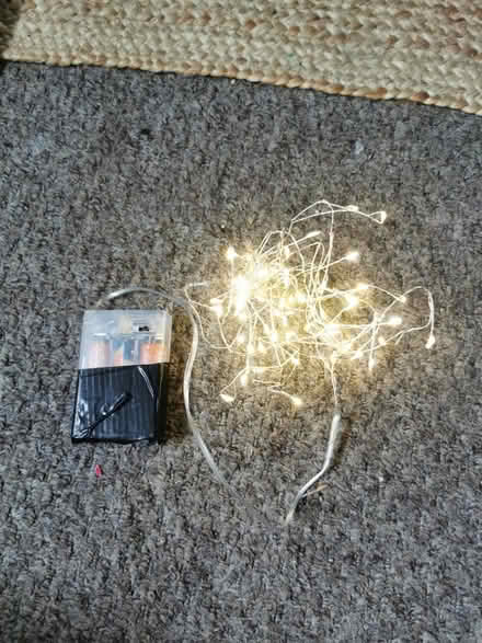 Photo of free Fairy lights (South Bermondsey SE15) #1