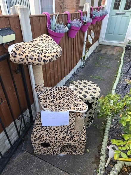Photo of free Cat tree with hammock and extra (Nottingham NG15) #1