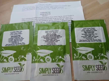 Photo of free Seeds (Colchester CO1) #1