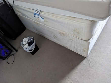 Photo of free Divan double bed (SW4) #2
