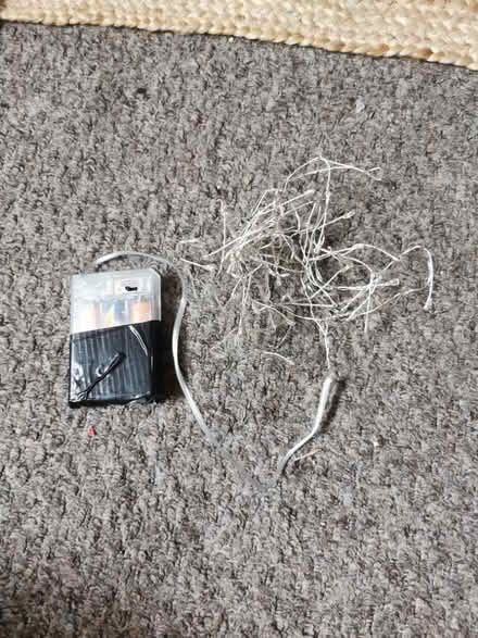 Photo of free Fairy lights (South Bermondsey SE15) #2